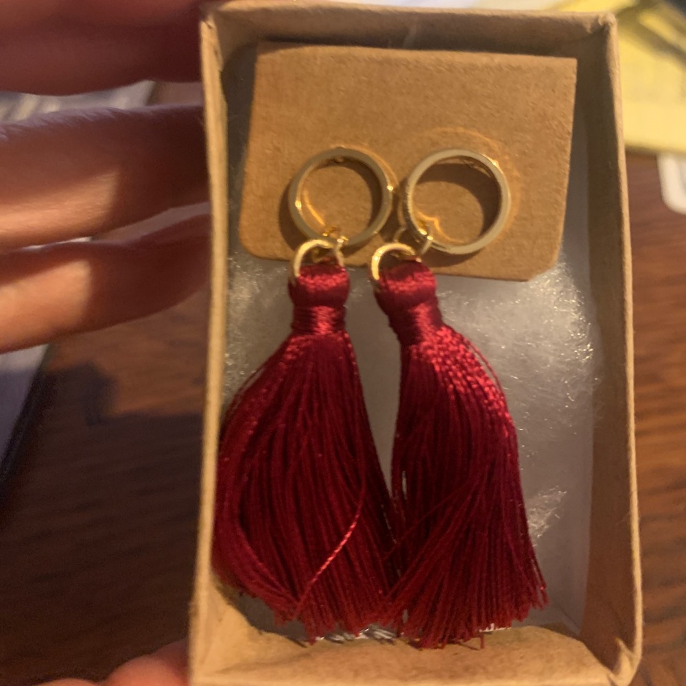 DOXAHLOGY earrings